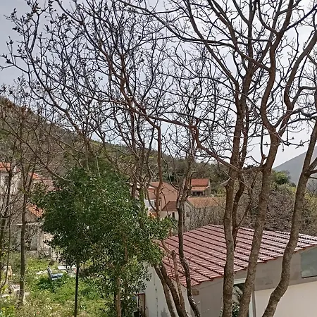 Biokovo Smaller Object 22 M2 Διαμέρισμα Μακάρσκα