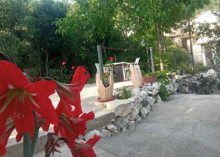 Biokovo Smaller Object 22 M2 Apartment *